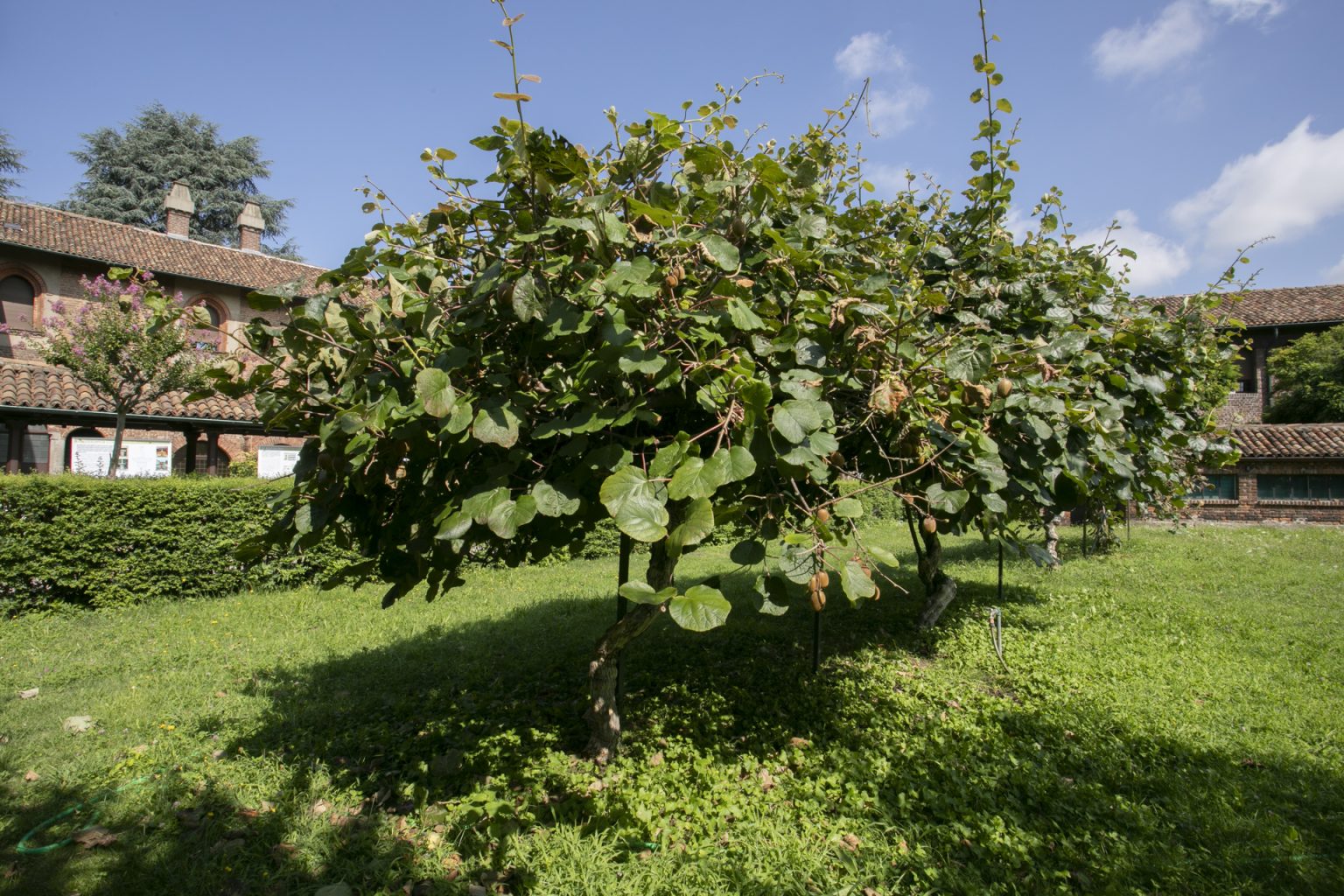 020_VillaMirabello_Lr